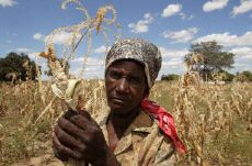 Drought Zimbabwe