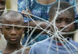 Two children look through barbed wire
