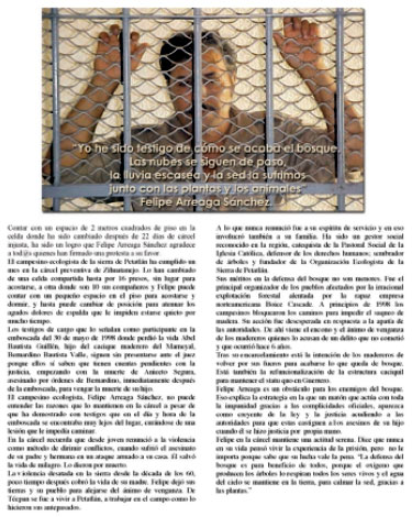 Flier produced by Arreaga's supporters