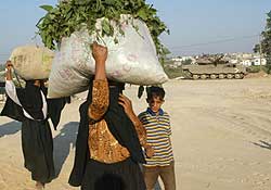 Palestinian Bedouin women carry greens as they walk past an Israeli tank