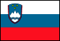 Flag of Slovenia 
