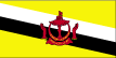 Flag of Brunei 