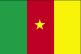 Flag of Cameroon 