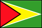 Flag of Guyana 