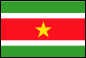 Flag of Suriname 