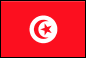 Flag of Tunisia 