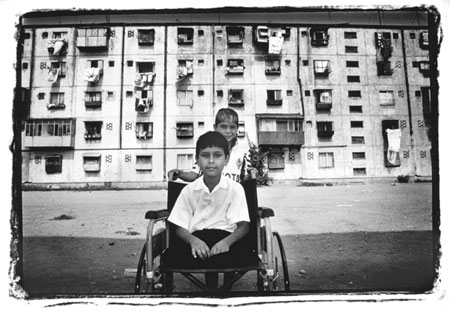 Criterion video essays image